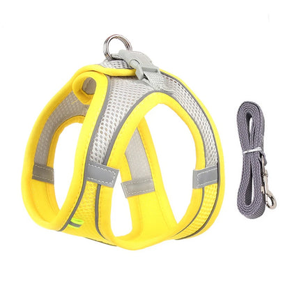 Conjunto de arnés y correa ajustables PawComfort™ para perros pequeños y cachorros