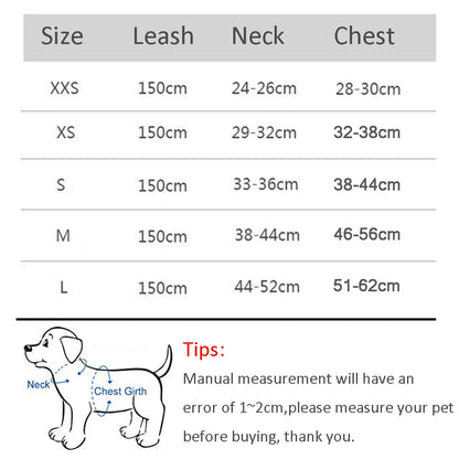 Conjunto de arnés y correa ajustables PawComfort™ para perros pequeños y cachorros