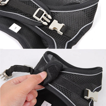 Conjunto de arnés y correa ajustables PawComfort™ para perros pequeños y cachorros