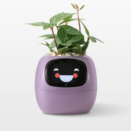 AI Smart Planter – Grow Plants Easily with Tuya Technology