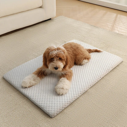 CoolPaw™ Ice Silk Cooling Pet Mat – Breathable Non-Slip Washable Dog & Cat Bed Pad