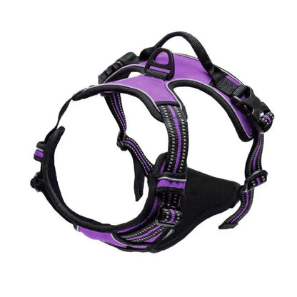 SafeStride™ Reflective Front-Clip Harness with Handle for Large Dogs