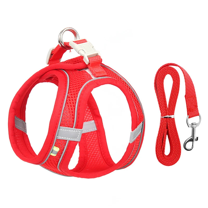 Conjunto de arnés y correa ajustables PawComfort™ para perros pequeños y cachorros