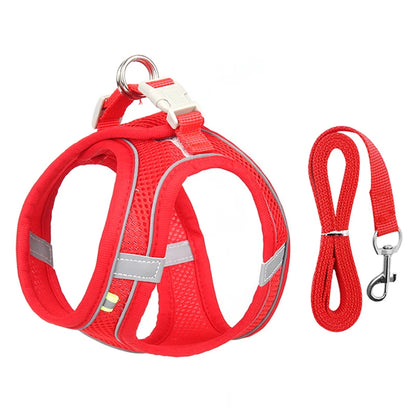 Conjunto de arnés y correa ajustables PawComfort™ para perros pequeños y cachorros