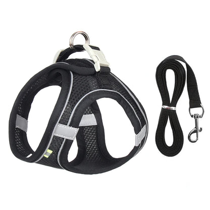 Conjunto de arnés y correa ajustables PawComfort™ para perros pequeños y cachorros