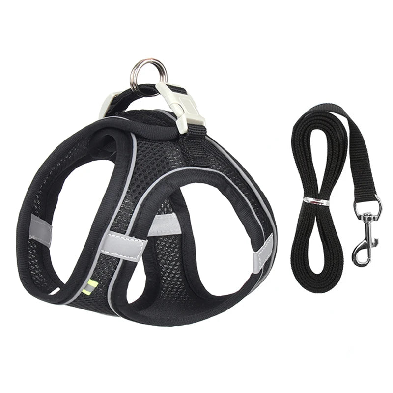 Conjunto de arnés y correa ajustables PawComfort™ para perros pequeños y cachorros