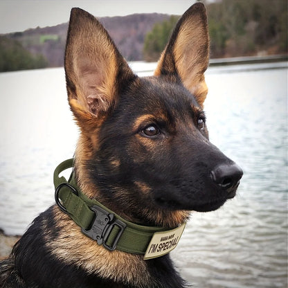 Collar de entrenamiento estilo militar CommandK9™ con asa y parche