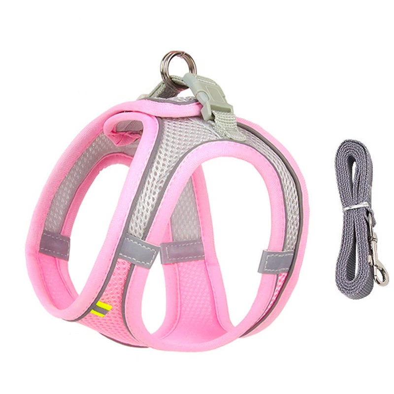 Conjunto de arnés y correa ajustables PawComfort™ para perros pequeños y cachorros