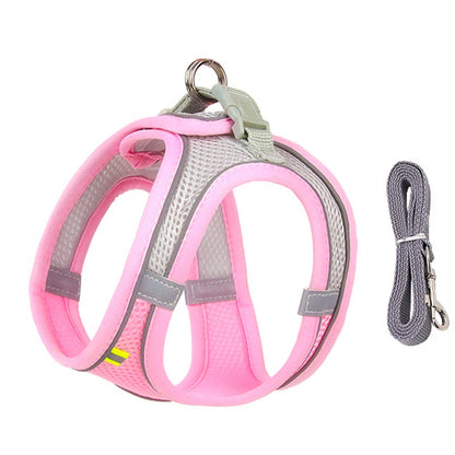 Conjunto de arnés y correa ajustables PawComfort™ para perros pequeños y cachorros