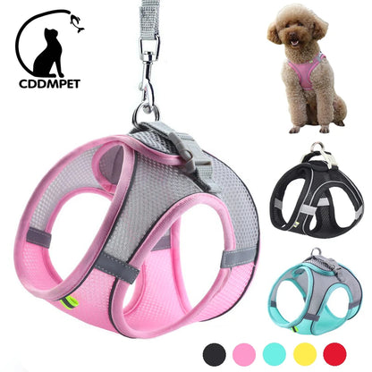 Conjunto de arnés y correa ajustables PawComfort™ para perros pequeños y cachorros