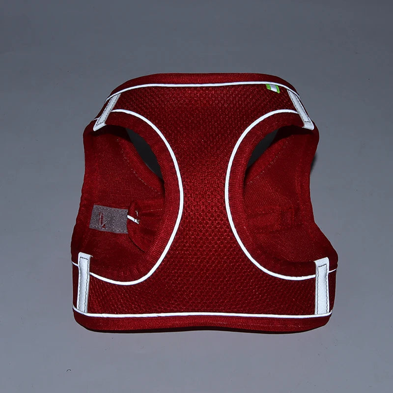 Conjunto de arnés y correa ajustables PawComfort™ para perros pequeños y cachorros