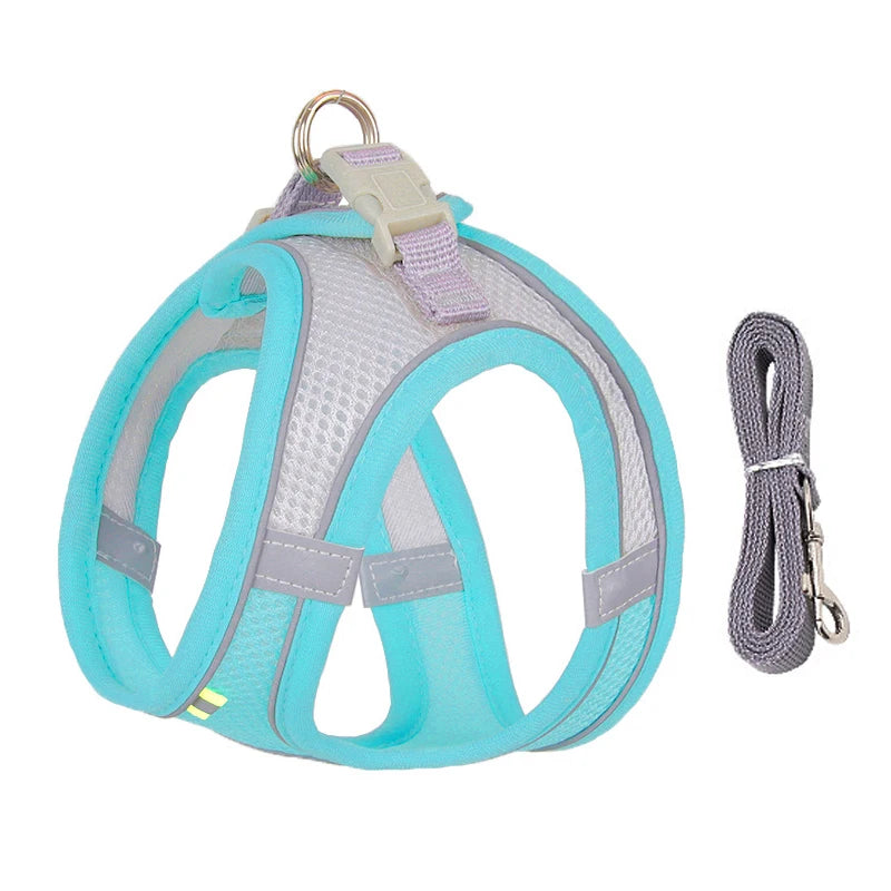 Conjunto de arnés y correa ajustables PawComfort™ para perros pequeños y cachorros